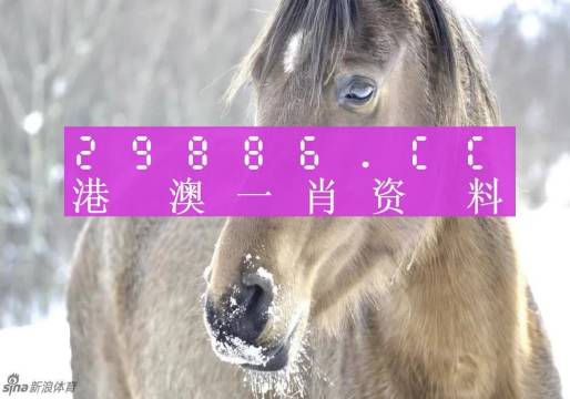 澳門精準(zhǔn)一肖一碼100%,澳門精準(zhǔn)一肖一碼100%，揭示犯罪背后的真相