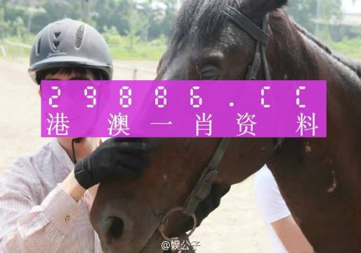 澳門一肖一碼最準(zhǔn)一碼,澳門一肖一碼最準(zhǔn)一碼，揭示背后的真相與風(fēng)險(xiǎn)