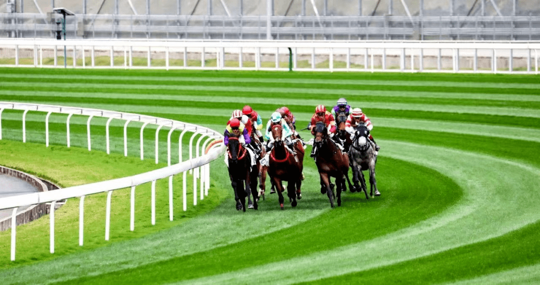 930香港馬精準(zhǔn)資料,香港賽馬精準(zhǔn)資料，探索930賽事的奧秘