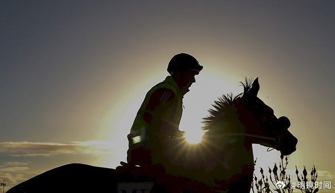 2024新澳門特馬今晚開什么,關于新澳門特馬今晚開什么的問題——警惕賭博犯罪風險