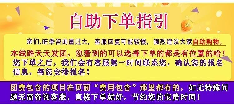 澳門天天開好彩大全53期,澳門天天開好彩，揭示背后的犯罪問題及其影響