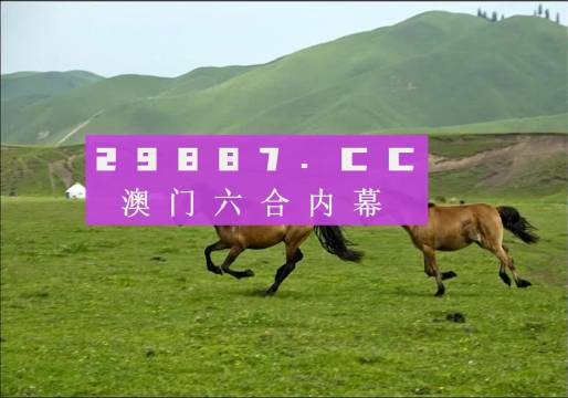 7777788888跑狗論壇資料,探索跑狗論壇資料，數(shù)字組合的魅力與策略分享