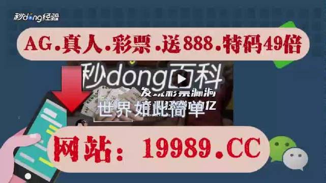 2024澳門今晚必開一肖,關(guān)于澳門今晚必開一肖的猜測與探討——警惕賭博背后的風(fēng)險與犯罪問題