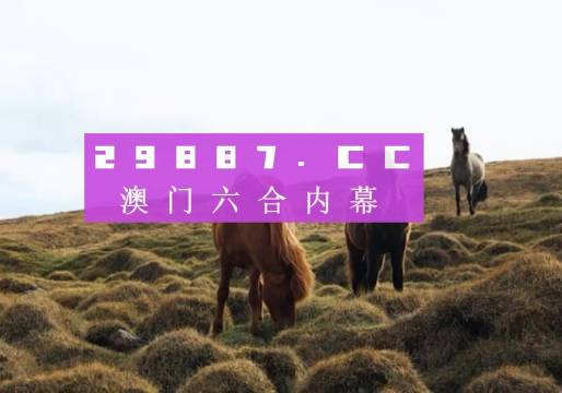 澳門六開獎結(jié)果2023開獎記錄查詢網(wǎng)站,澳門六開獎結(jié)果2023開獎記錄查詢網(wǎng)站，探索與解析