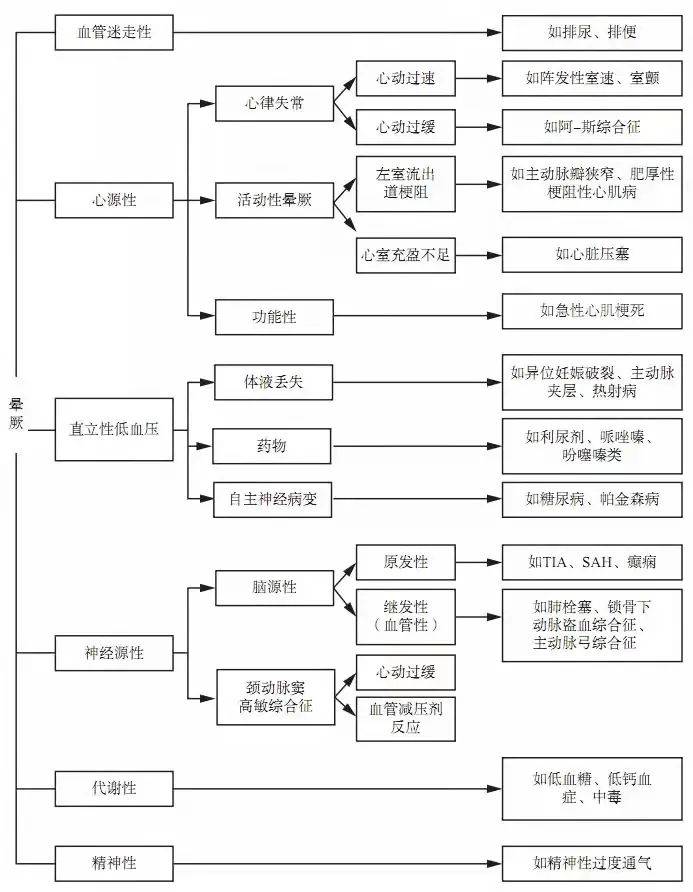 777778888王中王最新,探索數(shù)字背后的秘密，揭秘最新王中王現(xiàn)象與數(shù)字777778888的神秘面紗