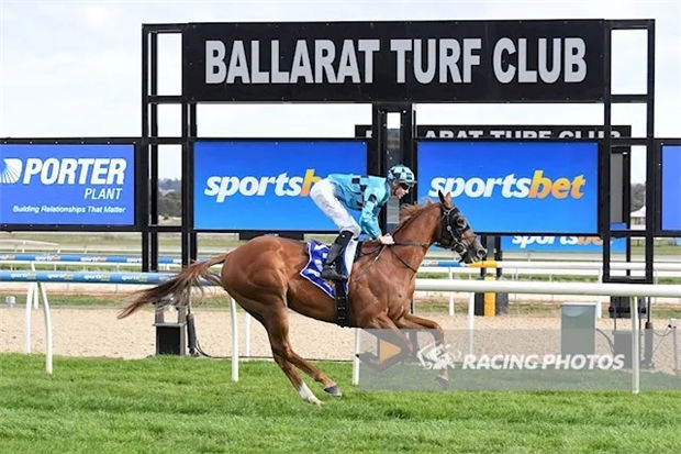 新澳今天開什么特馬,新澳今天開什么特馬，探索賽馬運動的魅力與奧秘