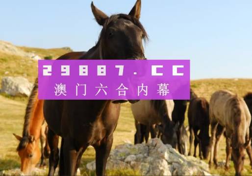 今晚澳門馬出什么特馬,今晚澳門馬出什么特馬，探索賽馬世界的神秘面紗