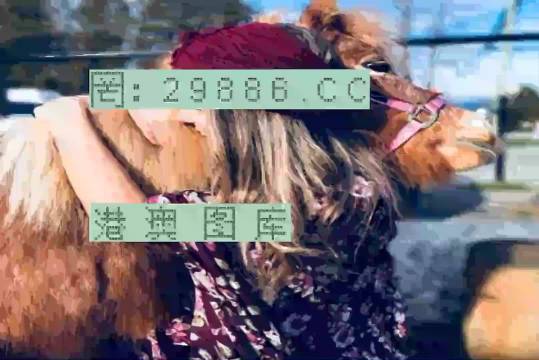 7777788888跑狗論壇資料,探索跑狗論壇，揭秘?cái)?shù)字組合77777與88888的魅力世界