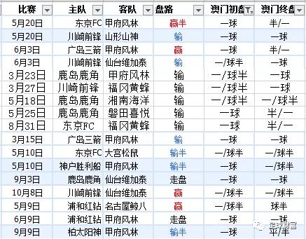 新澳內(nèi)部資料精準一碼波色表,新澳內(nèi)部資料精準一碼波色表，探索與解讀