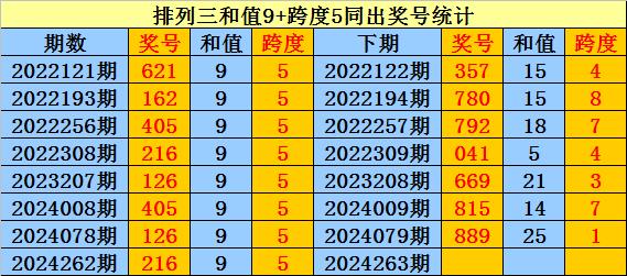 澳門一碼一肖100準王中王,澳門一碼一肖與犯罪問題探討