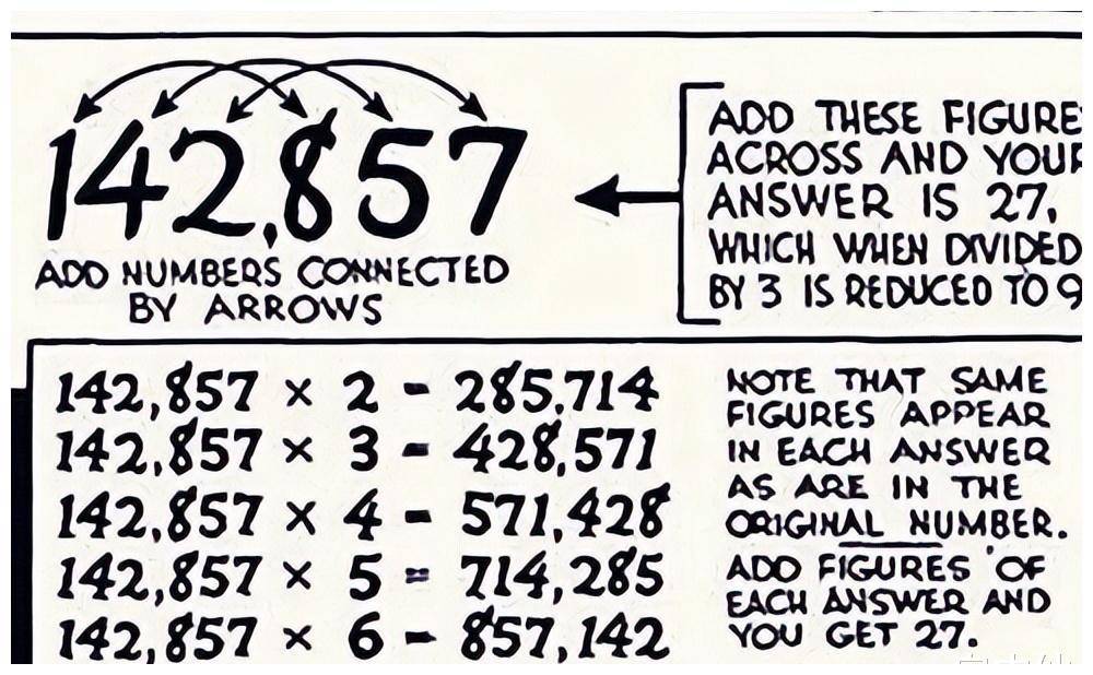 7777788888新奧門,探索新奧門，數(shù)字77777與88888的象征意義