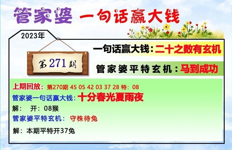 澳門一肖一碼100管家婆9995,澳門一肖一碼與管家婆9995，探索與解析