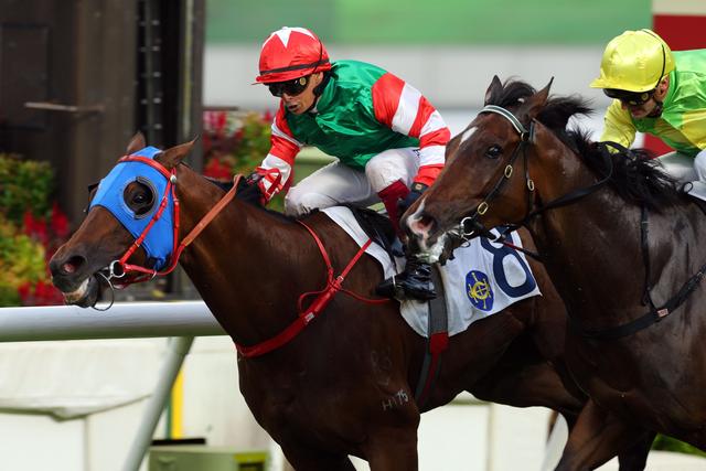 新澳今天開什么特馬,新澳今日賽馬盛況，探尋特馬競技的魅力