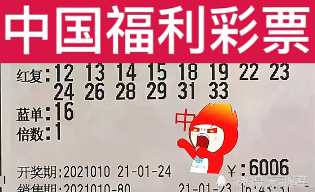 新澳2024今晚開獎結(jié)果,新澳2024今晚開獎結(jié)果，期待與驚喜交織的盛宴