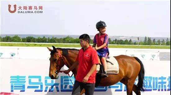 新澳今天開什么特馬,新澳今日賽馬結(jié)果揭秘，探尋特馬的勝利之路