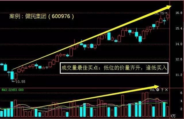 香港今晚開特馬 開獎(jiǎng)結(jié)果66期,香港今晚開特馬，第66期開獎(jiǎng)結(jié)果的期待與探索