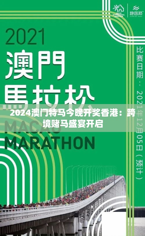 2024年澳門特馬今晚,探索澳門特馬的世界，2024年的今晚展望