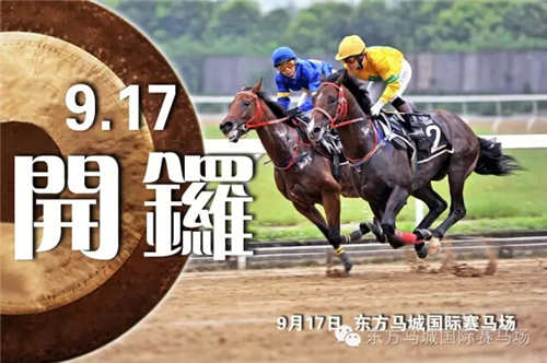 澳門今天晚上特馬開什么,澳門今晚特馬開什么，探索與解讀賽馬文化背后的秘密