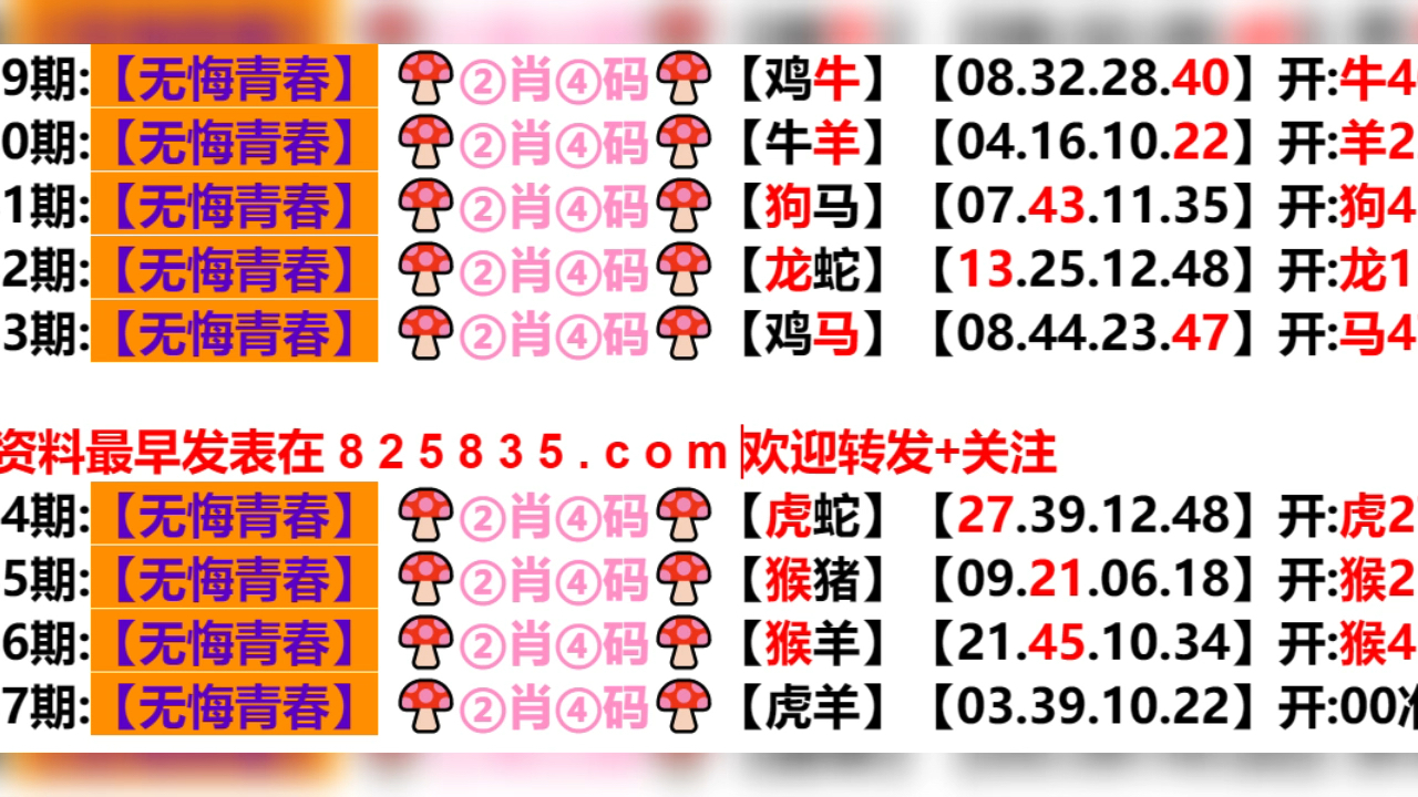 2024新澳門天天開好彩大全孔的五伏,新澳門天天開好彩大全孔的五伏，探索與期待