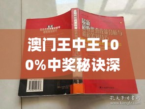 澳門王中王100期期中一期林,澳門王中王100期期中一期林，探索與解析