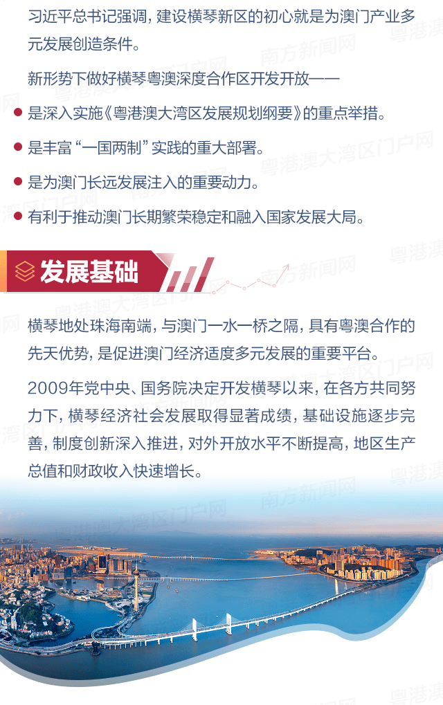 澳門天天開好彩大全65期,澳門天天開好彩大全深度解析，第65期展望與回顧