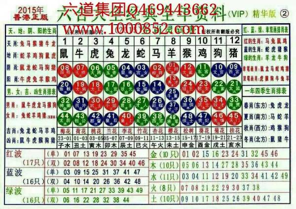 2024十二生肖49碼表,揭秘2024十二生肖與數(shù)字彩票的奧秘，49碼表全解析