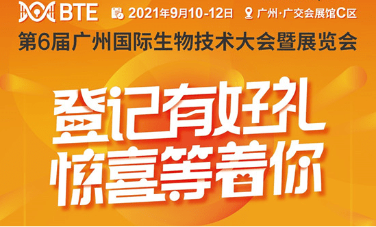 管家婆2024一句話中特,管家婆2024一句話中特，洞悉商業(yè)智慧，引領管理新潮