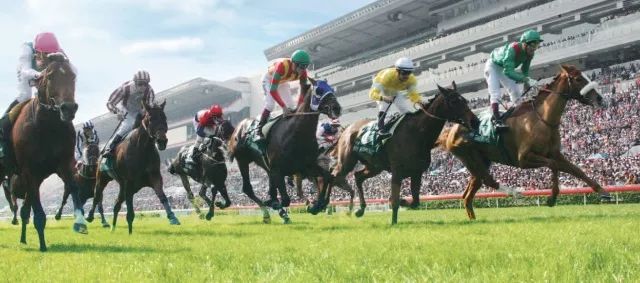 香港今晚開什么特馬,香港今晚開什么特馬，探索賽馬文化背后的故事