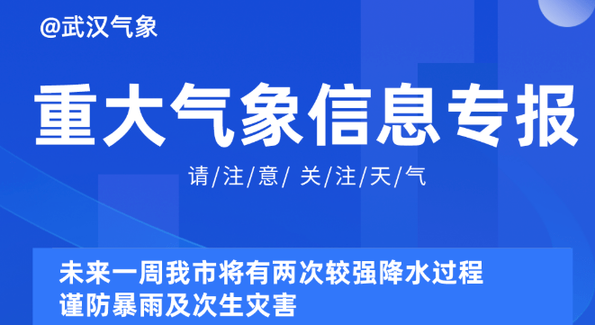 2025新奧資料免費精準(zhǔn)051,探索未來，2025新奧資料的免費精準(zhǔn)共享