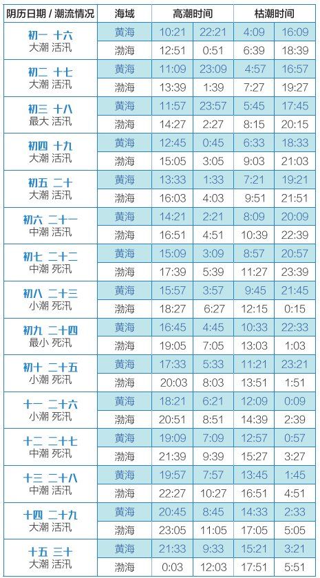 天天開獎澳門天天開獎歷史記錄,澳門天天開獎的歷史記錄，探索與解析