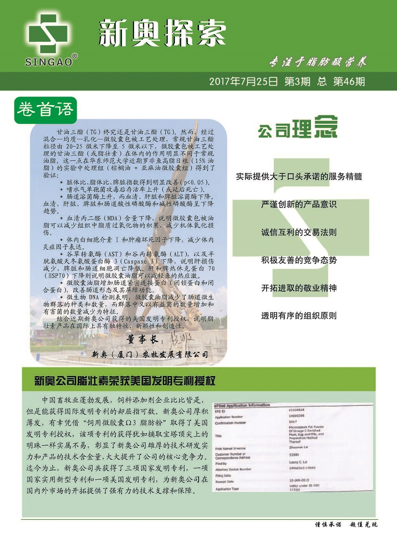 2025新奧精準(zhǔn)正版資料,探索未來，解析2025新奧精準(zhǔn)正版資料的重要性與價(jià)值