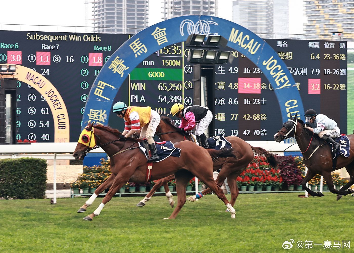 今晚澳門馬出什么特馬,今晚澳門馬出什么特馬，探索澳門賽馬世界的神秘面紗